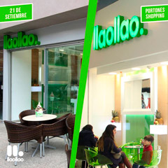 Franquicia Llao llao